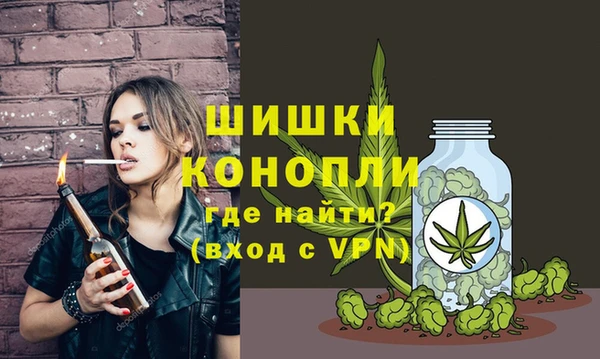 spice Алзамай