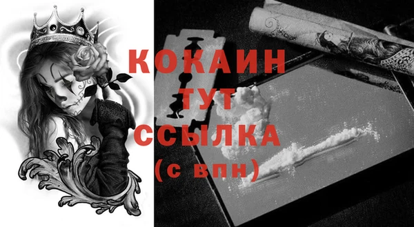 spice Алзамай