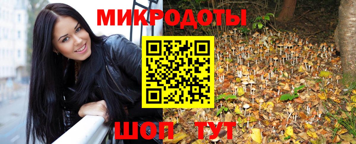 Псилоцибиновые грибы мухоморы  хочу наркоту  Псилоцибиновые грибы GOLDEN TEACHER  Челябинск  Вход с VPN 